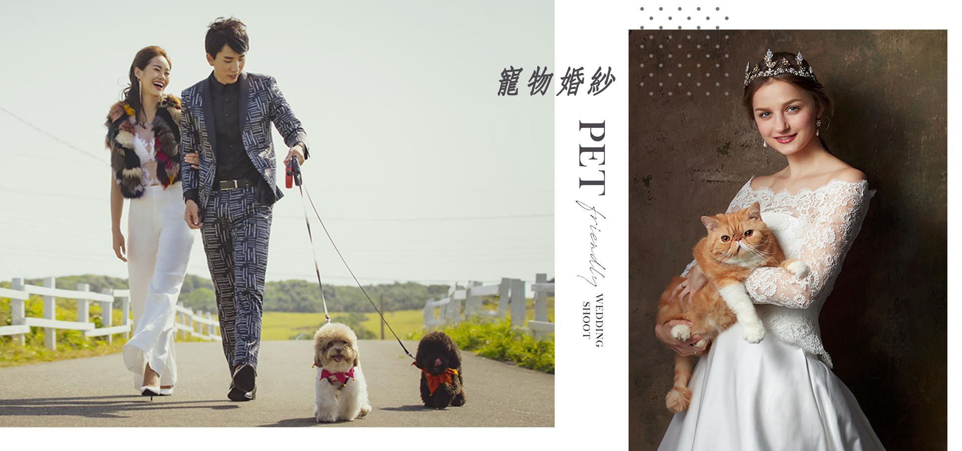 跟毛寶貝一起拍婚紗~